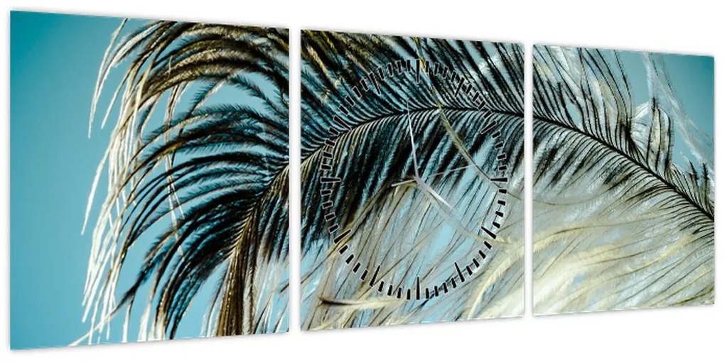 Obraz pióra (z zegarem) (90x30 cm)