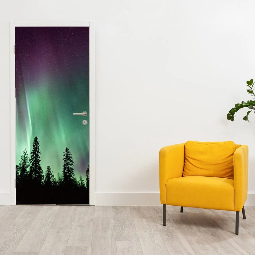 Fototapeta na drzwi - Zorza polarna (95x205cm)