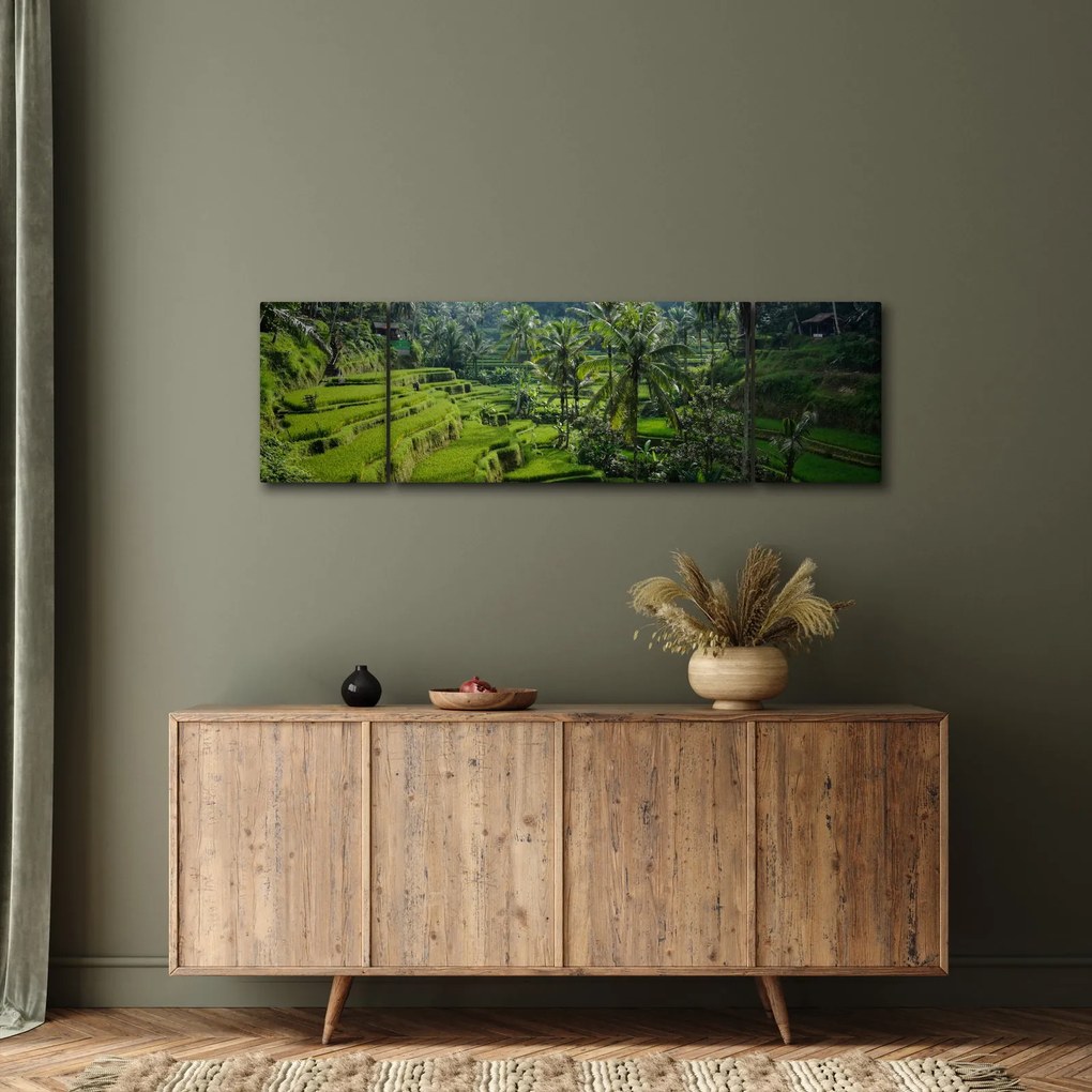 Obraz tarasów ryżowych Tegalalang, Bali (170x50 cm)