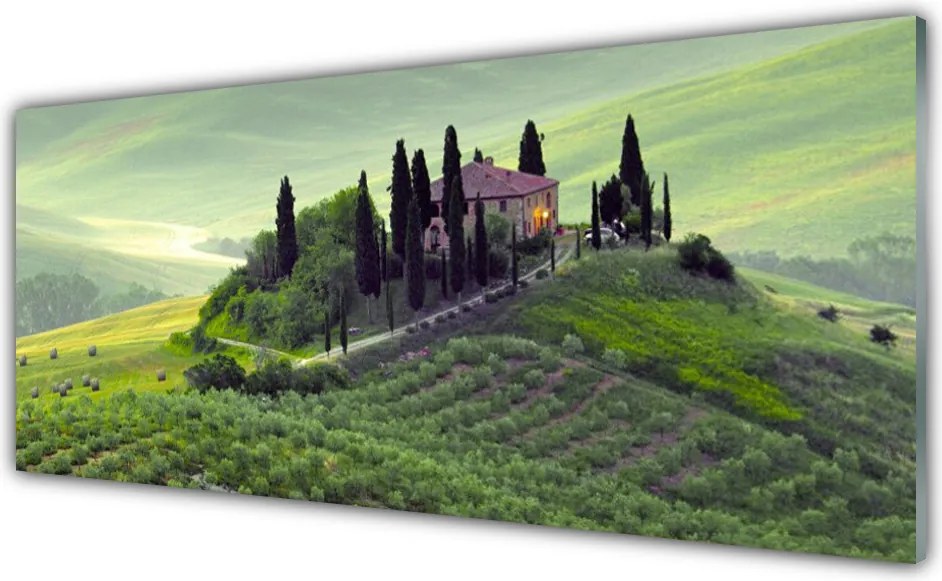 Panel Szklany Sielska Łąka z Drzewami