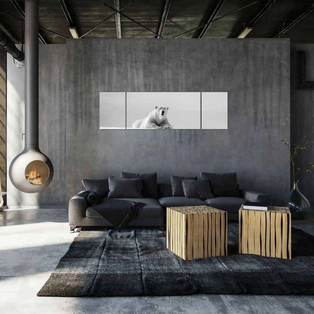 Obraz - Niedźwiedź polarny, czarno - biały (170x50 cm)