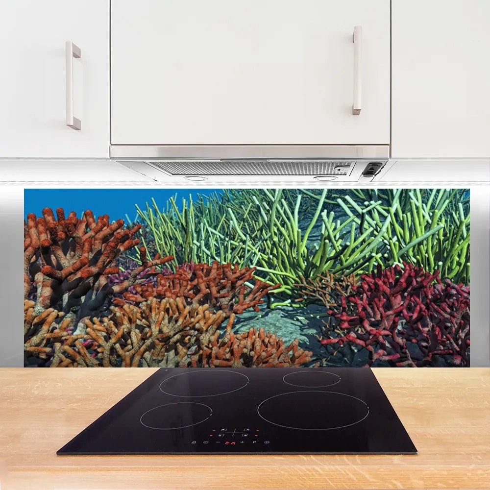 Panel Szklany Podwodne Życie Rafy