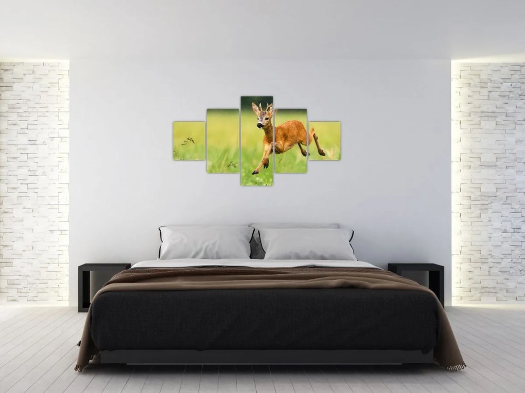 Obraz - Sarna (125x70 cm)
