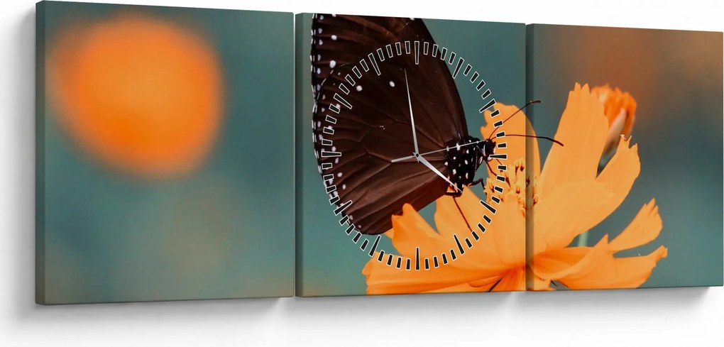 Obraz - motyl na pomarańczowym kwiatku (z zegarem) (90x30 cm)