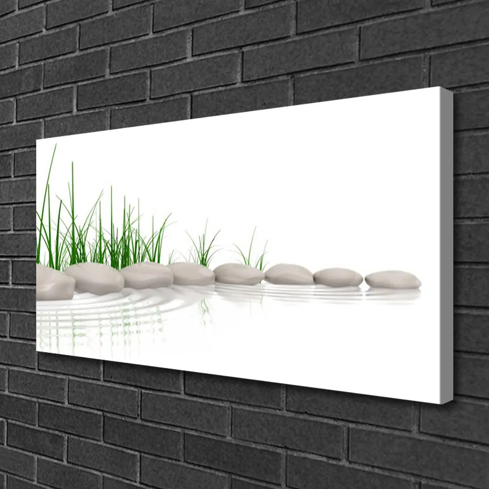 Fotoobraz na płótnie Kamienie w Zielonej Trawie