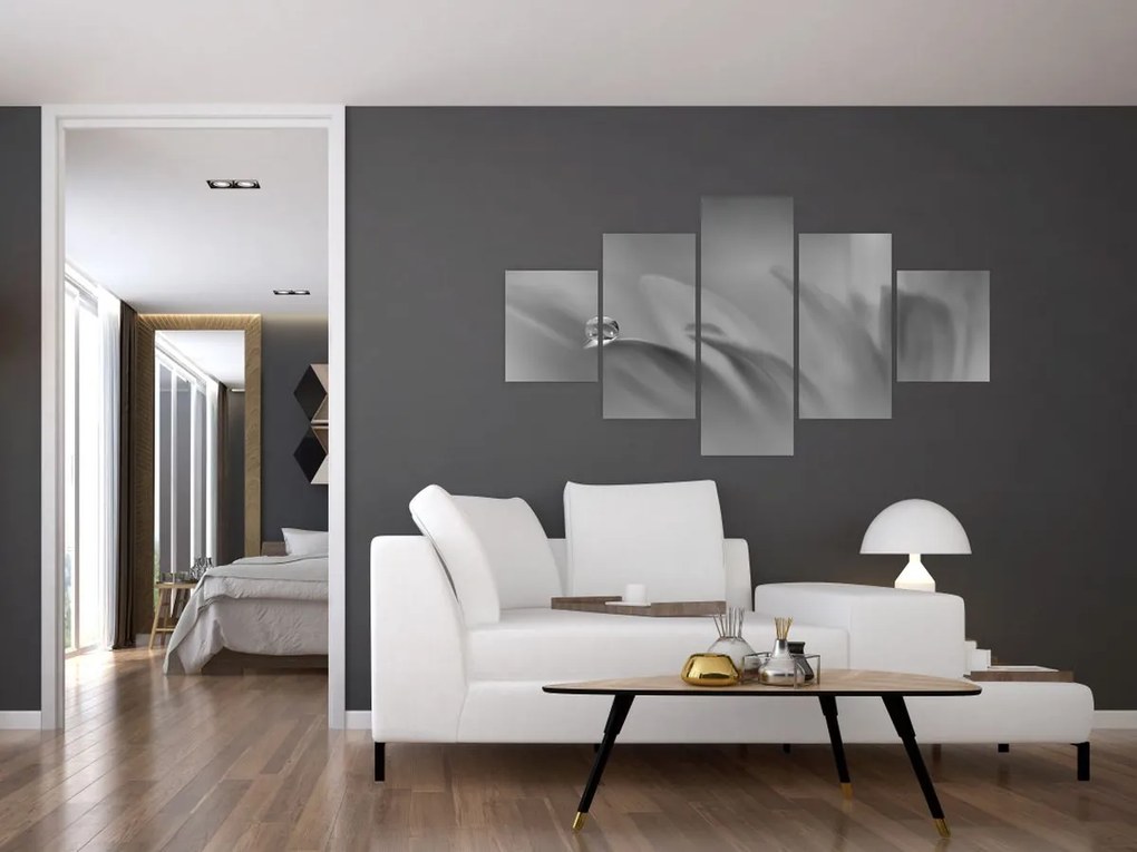 Obraz - Kropla na kwiecie, czarno - biały (125x70 cm)