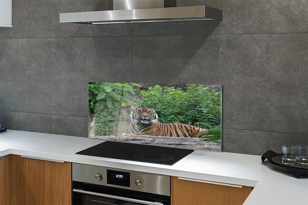 Szklany Panel Tygrys w Sercu Lasu