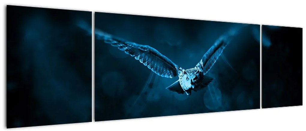 Obraz lecącej sowy (170x50 cm)