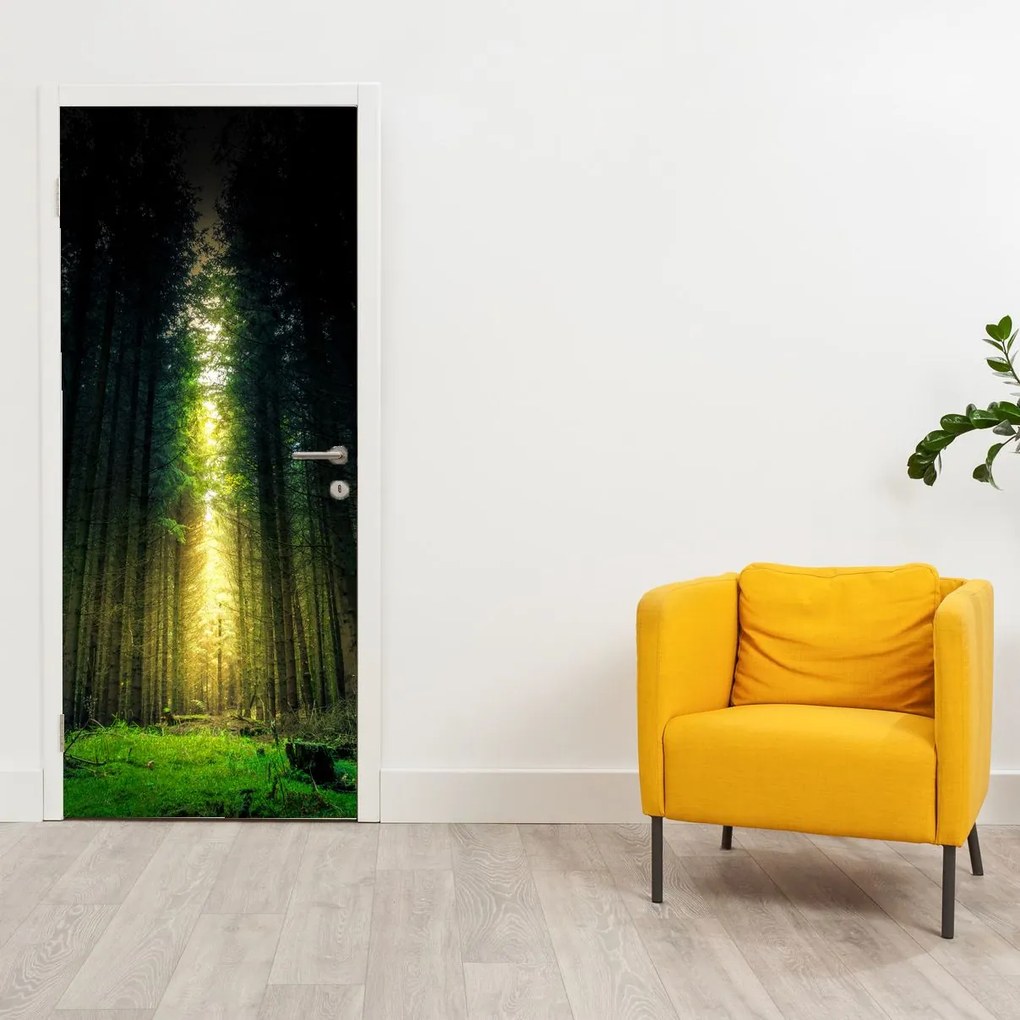 Fototapeta na drzwi - Ciemny las (95x205cm)