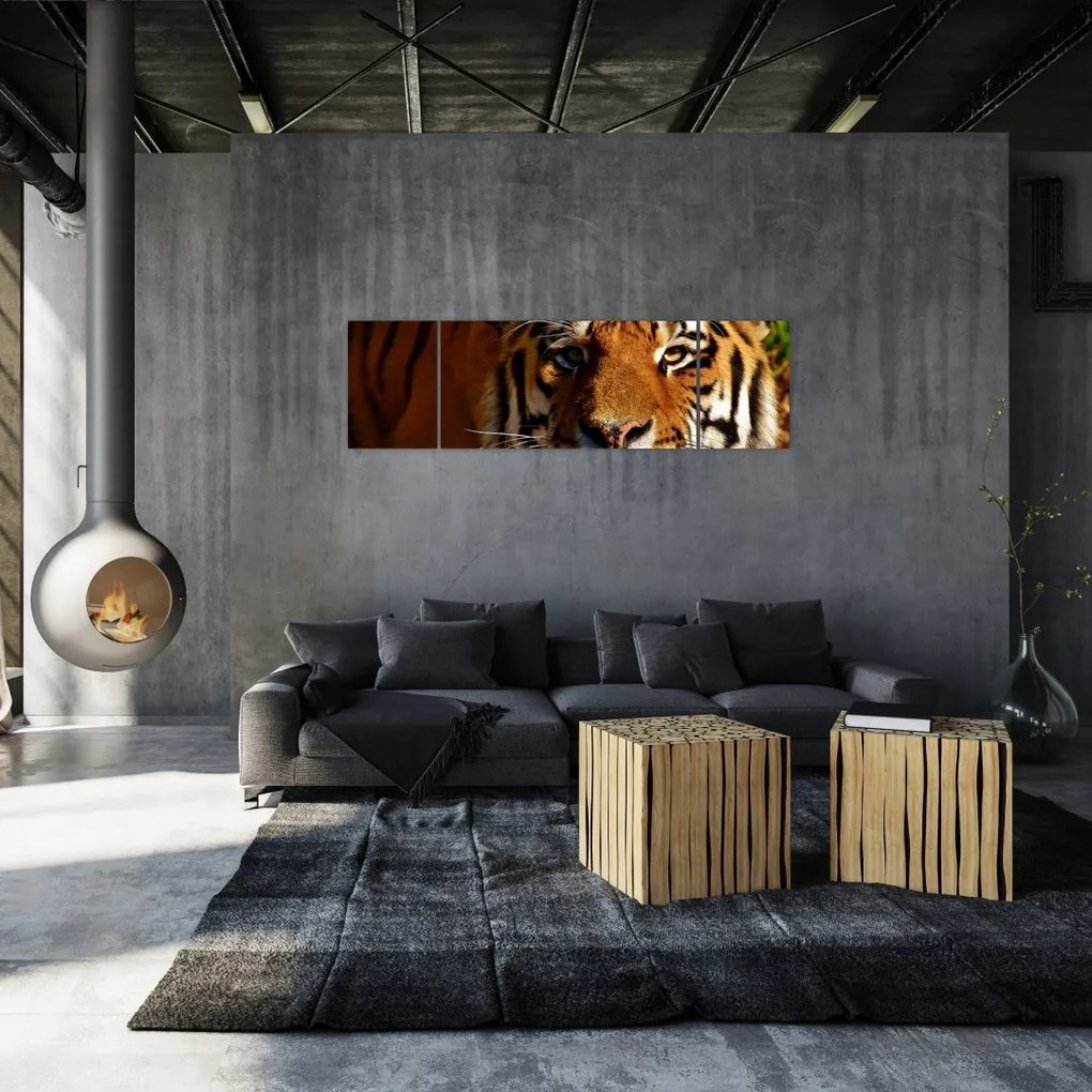 Obraz tygrysa (170x50 cm)