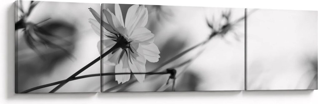 Obraz - Czarno - białe kwiaty (170x50 cm)