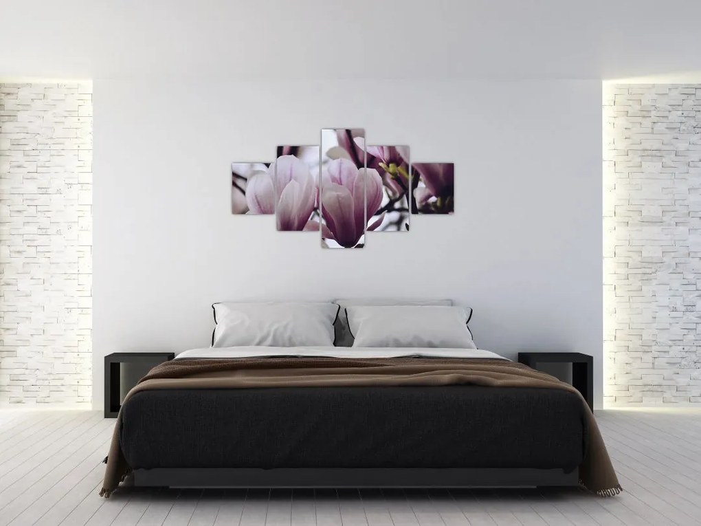 Obraz - Magnolia (125x70 cm)