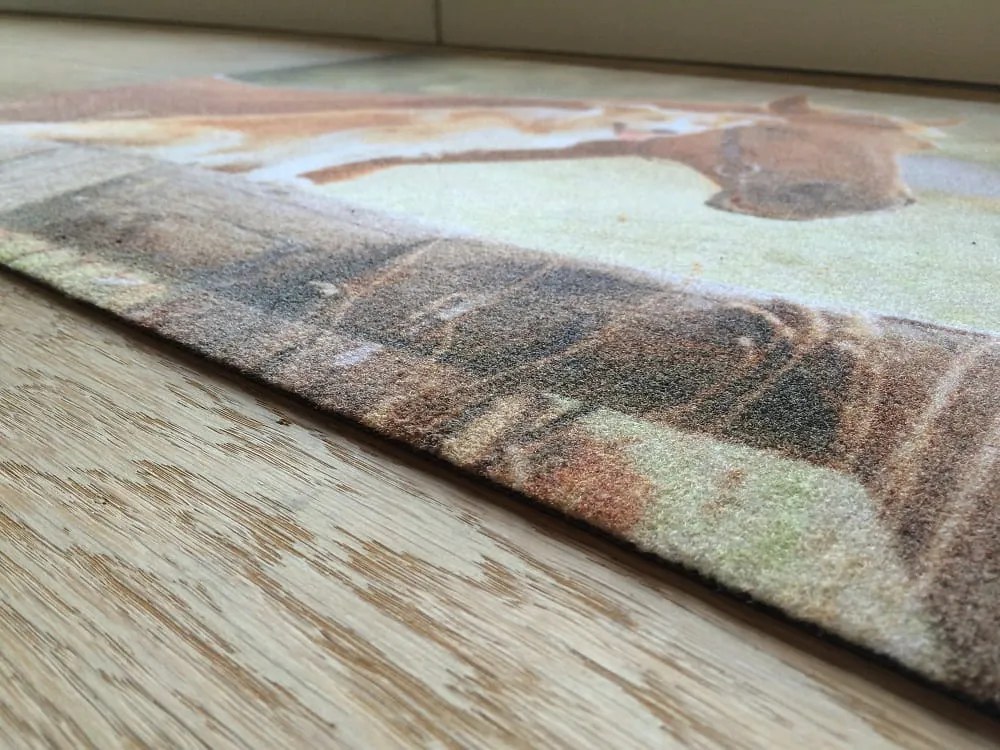 Wycieraczka Deco Star Przyjaciele 50 cm x 80 cm