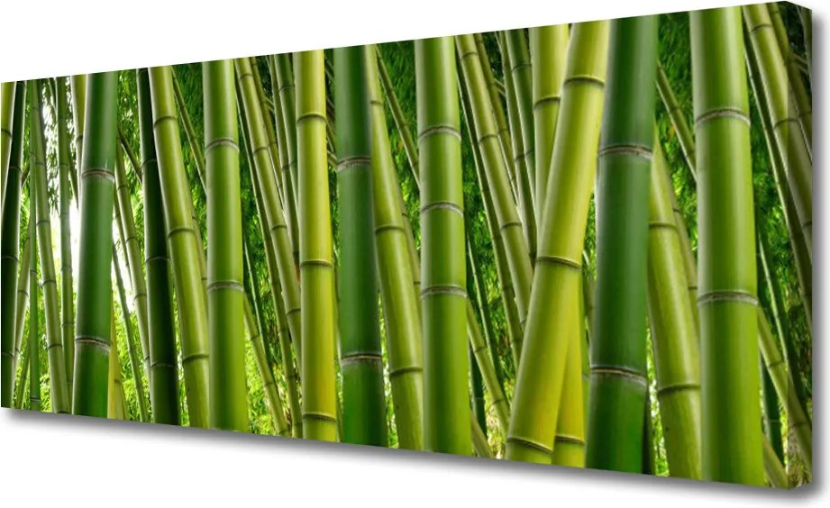 Obraz canvas Gęstwina Zielonego Bambusa