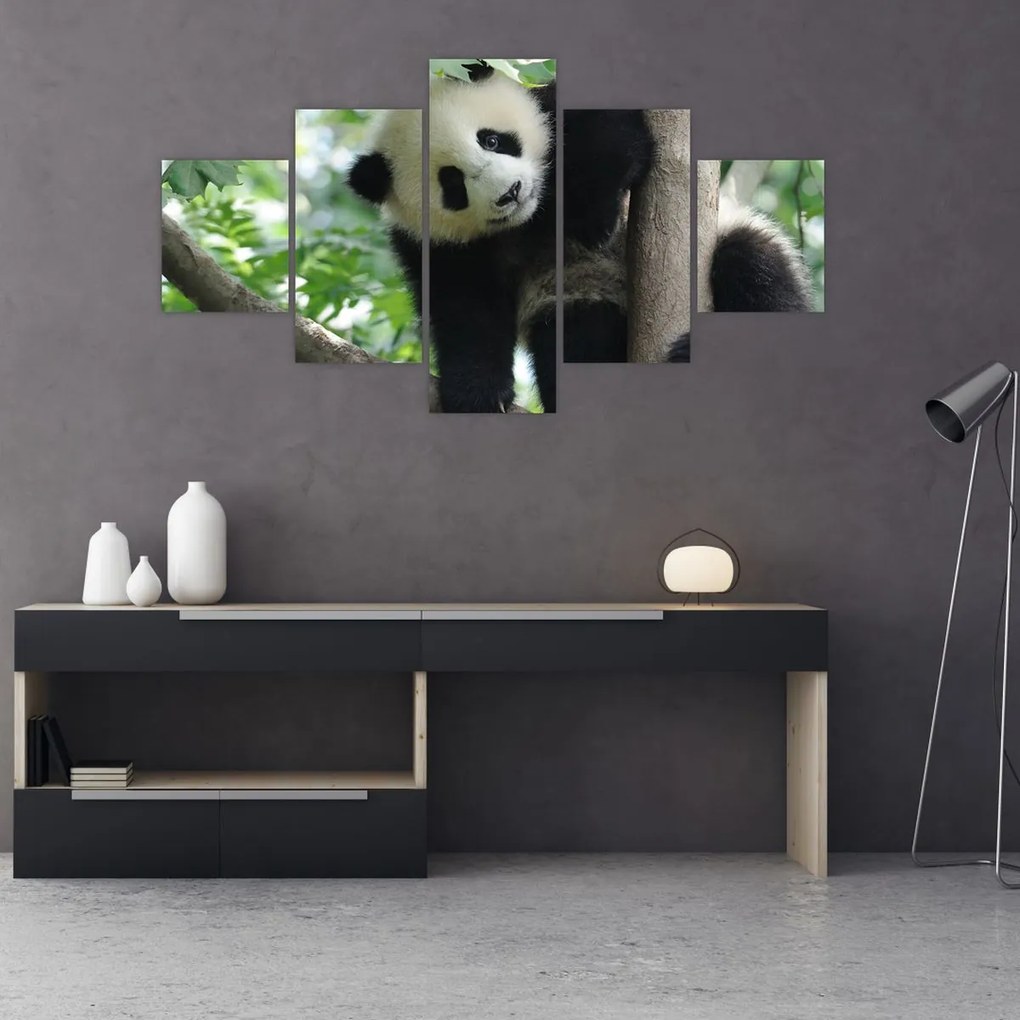 Obraz - Panda na drzewie (125x70 cm)