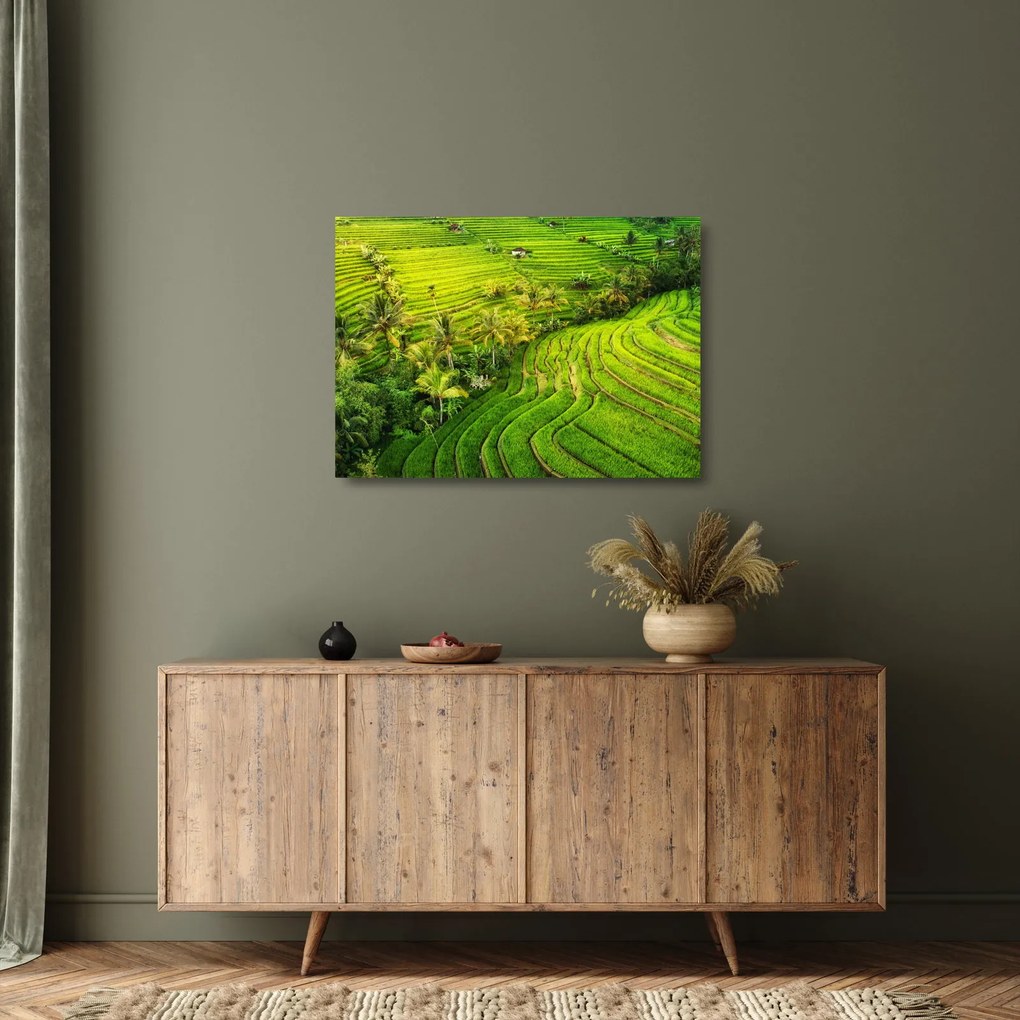 Obraz na szkle - Pola ryżowe (70x50 cm)