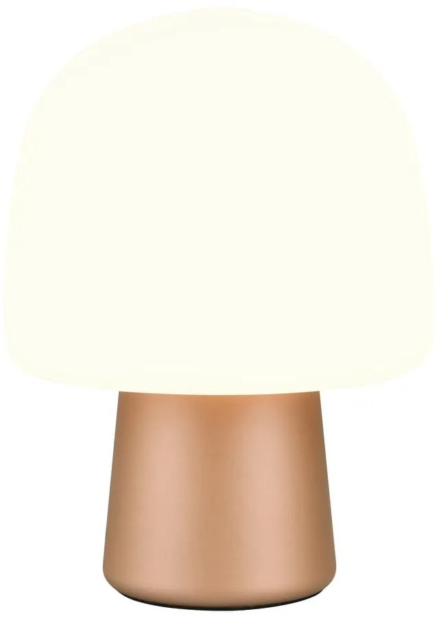 Biało-brązowa lampa stołowa ze szklanym kloszem (wysokość 27 cm) Steen – Trio