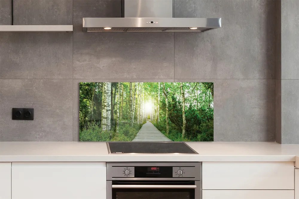 Szklany Panel Droga przez Las Brzozowy