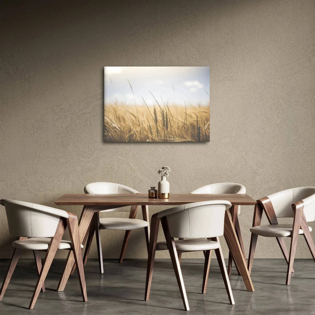 Obraz ziarna (70x50 cm)