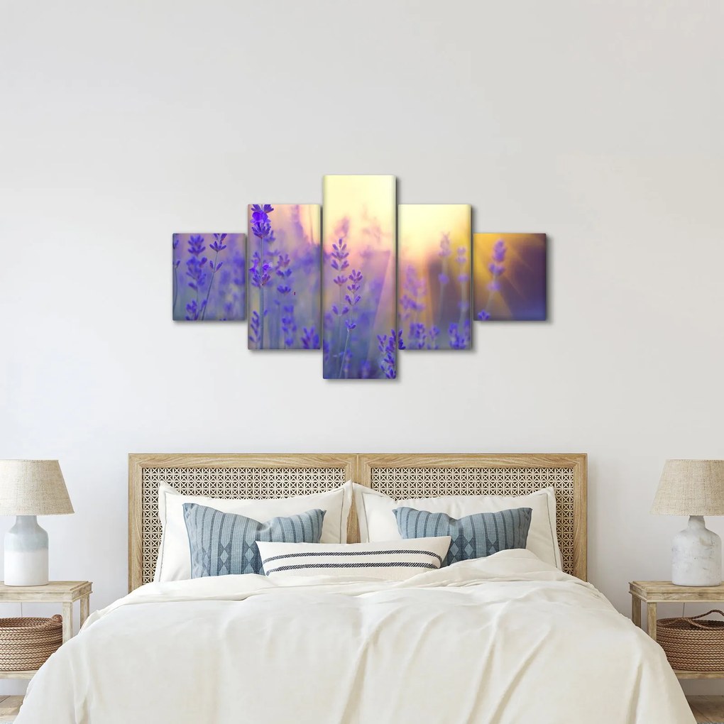 Obraz - Lawenda (125x70 cm)
