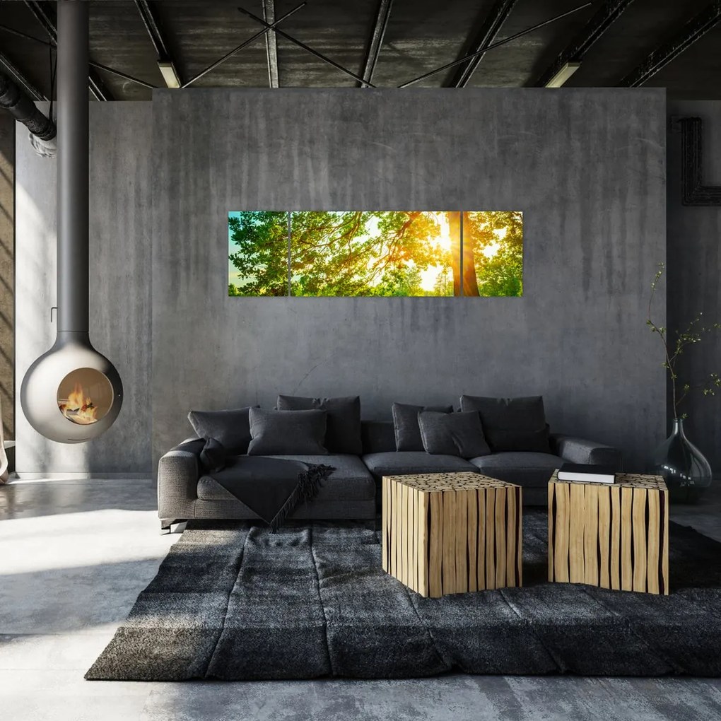 Obraz - Słoneczny Las (170x50 cm)