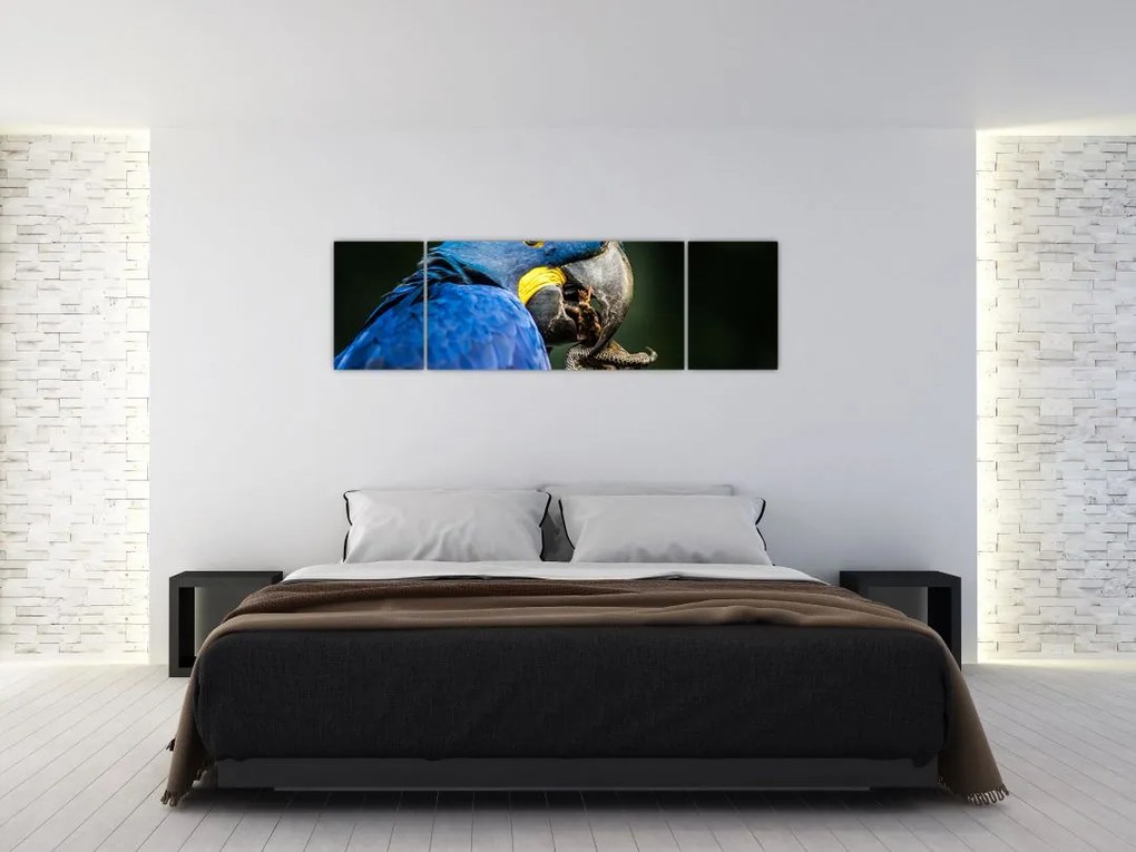 Obraz papugi (170x50 cm)