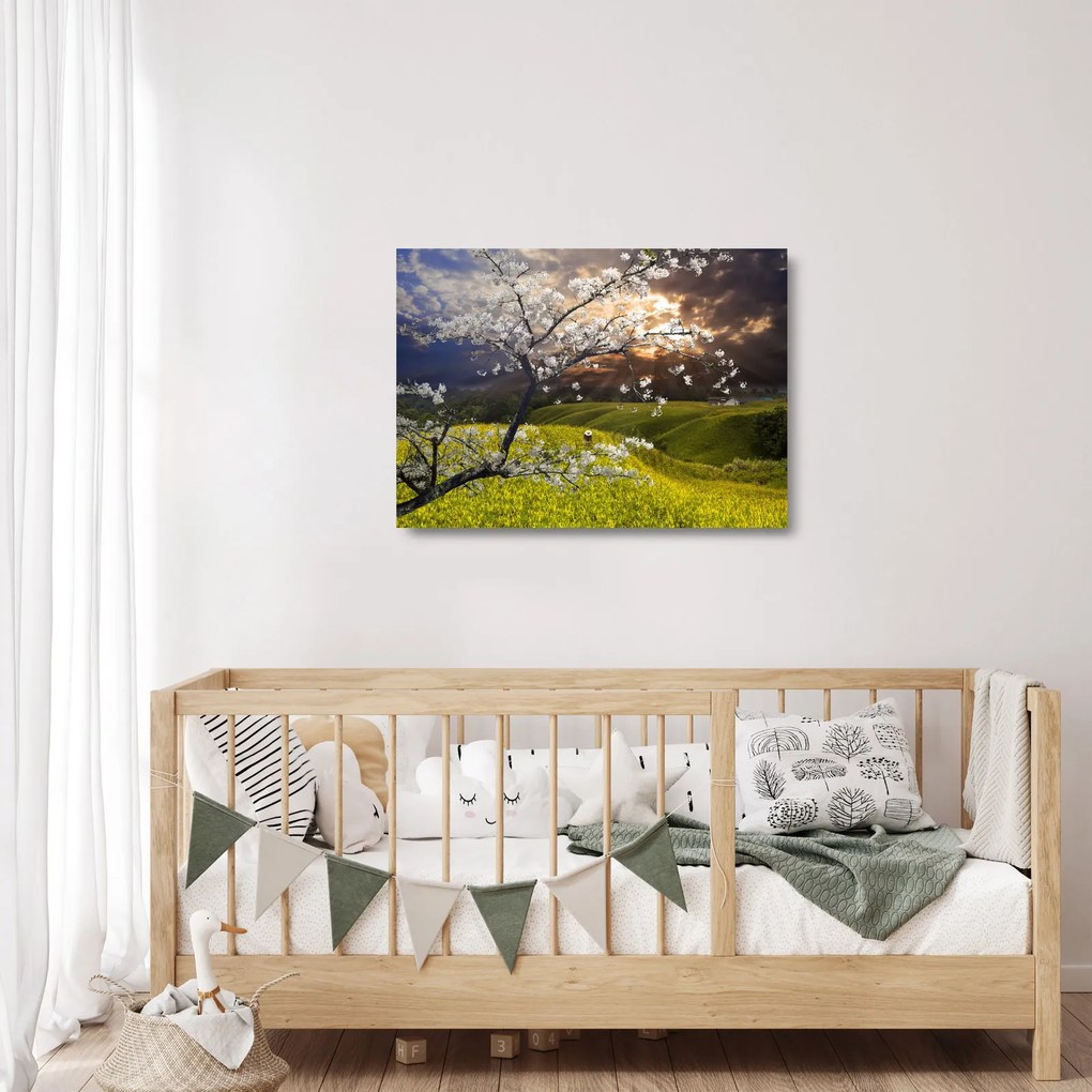 Obraz na szkle - Kwitnące drzewo w krajobrazie (70x50 cm)