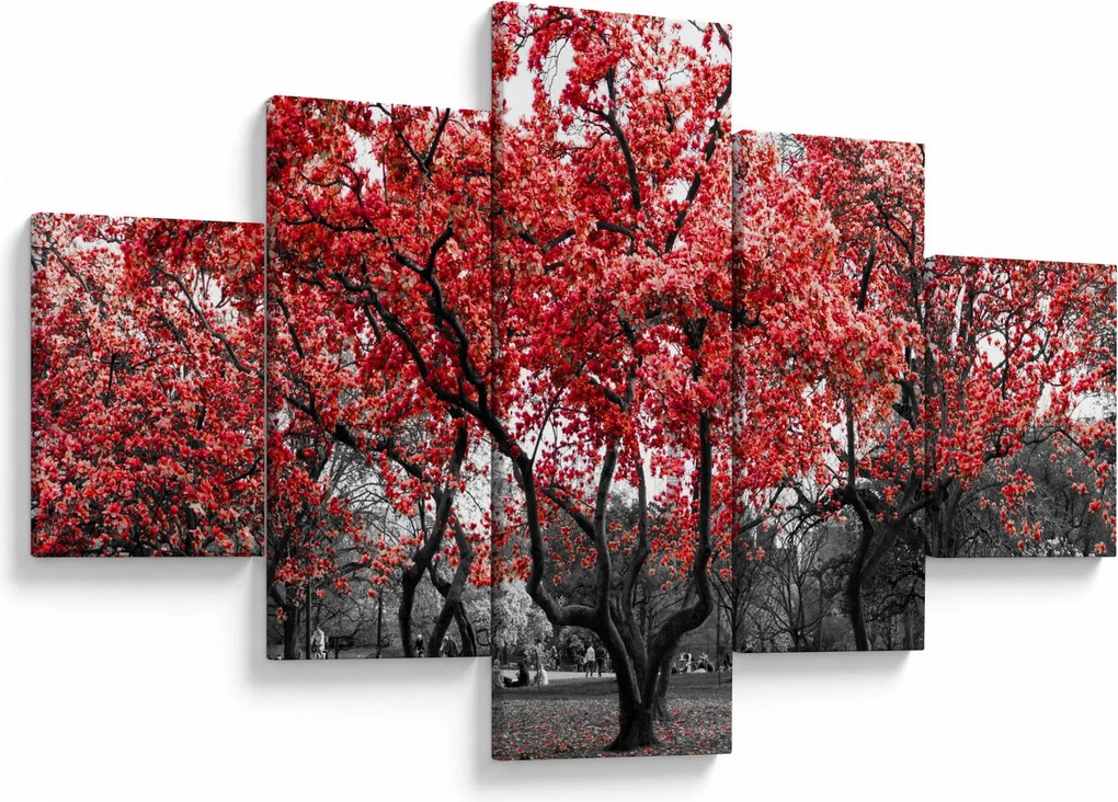 Obraz - Czerwone drzewa, Central Park, New York (125x70 cm)