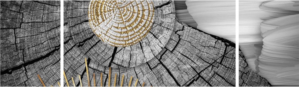 Obraz - Pień drzewa w kolażu (170x50 cm)