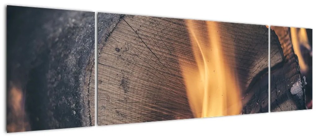 Obraz płonącego drewna (170x50 cm)