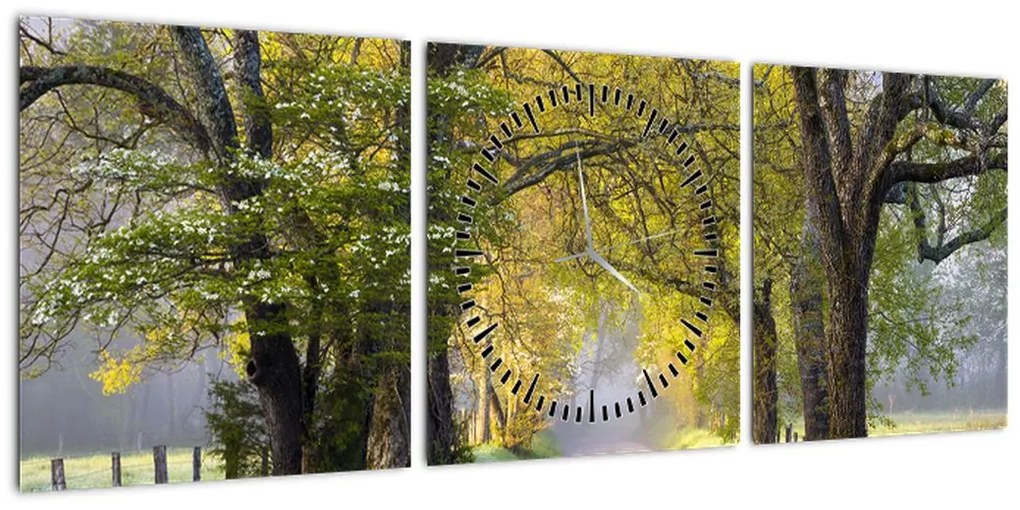 Zdjęcie - Smoky Mountains, Gatlinburg, USA (z zegarem) (90x30 cm)