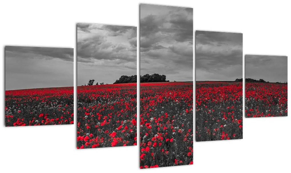 Obraz maków (125x70 cm)