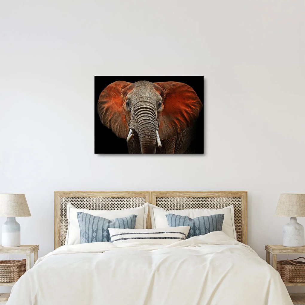Obraz na szkle - Słonie z Tsavo (70x50 cm)