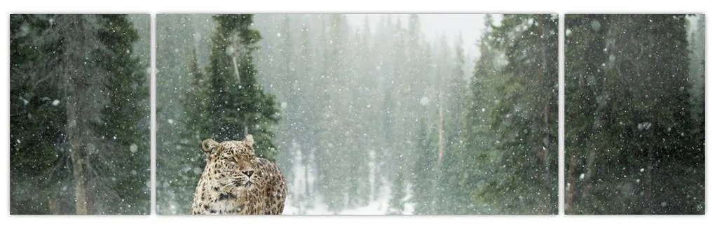 Obraz lamparta na śniegu (170x50 cm)