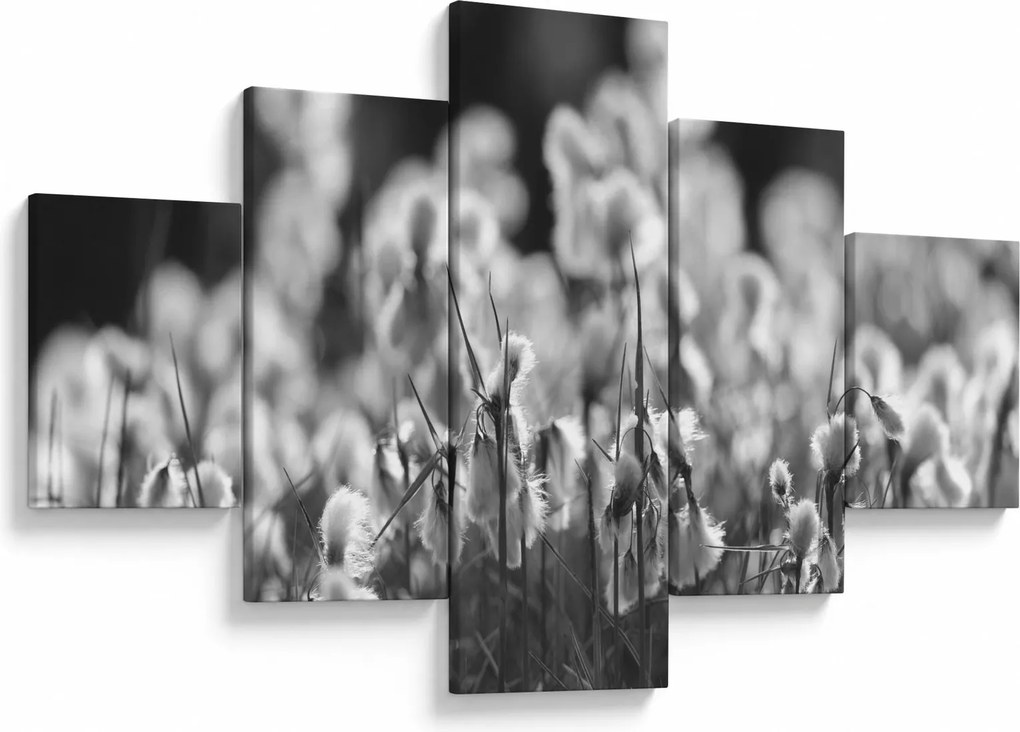 Obraz - Letnia łąka (125x70 cm)