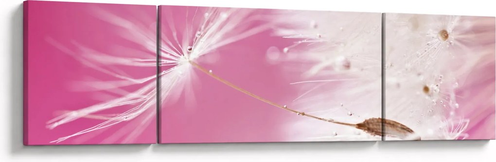 Obraz - Makro kwiat (170x50 cm)