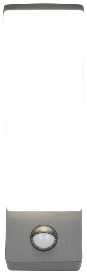 Zewnętrzna lampa ścienna LED (wysokość 22,5 cm) Beja – Reality