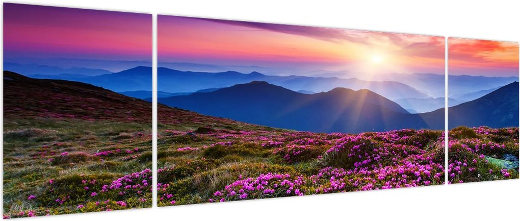 Obraz - Krajobraz kwitnących gór (170x50 cm)