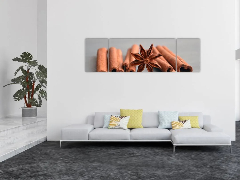 Obraz cynamonu (170x50 cm)