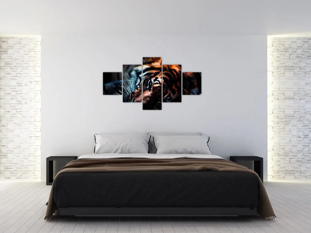 Obraz leżącego tygrysa (125x70 cm)