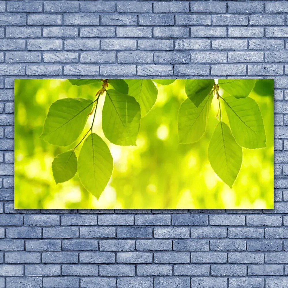 Obraz na płótnie Zielone Liście w Stylu Modern