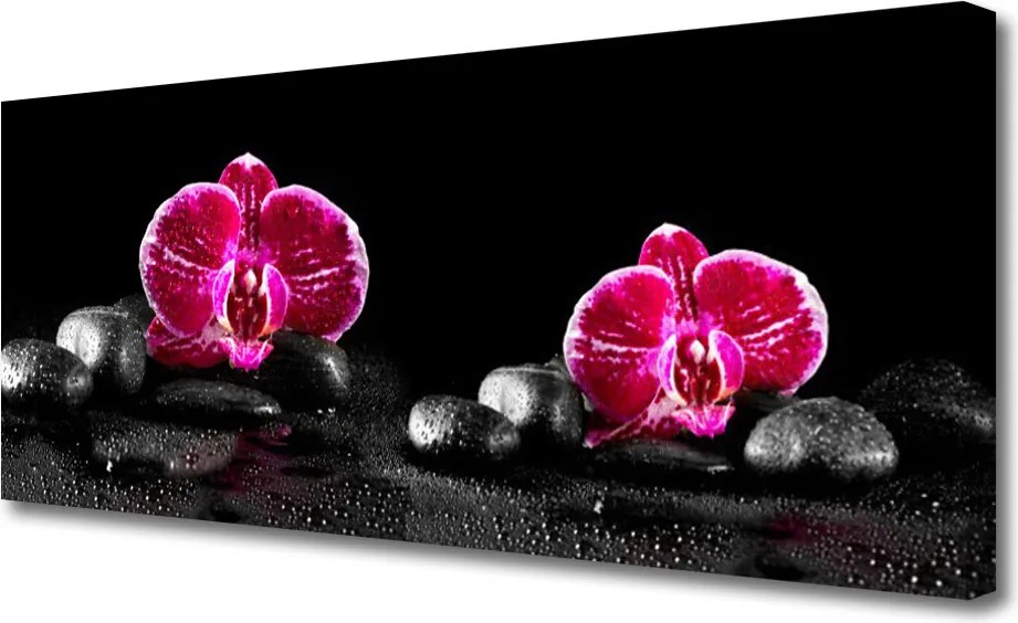 Obraz na płótnie Biała Orchidea w Zbliżeniu