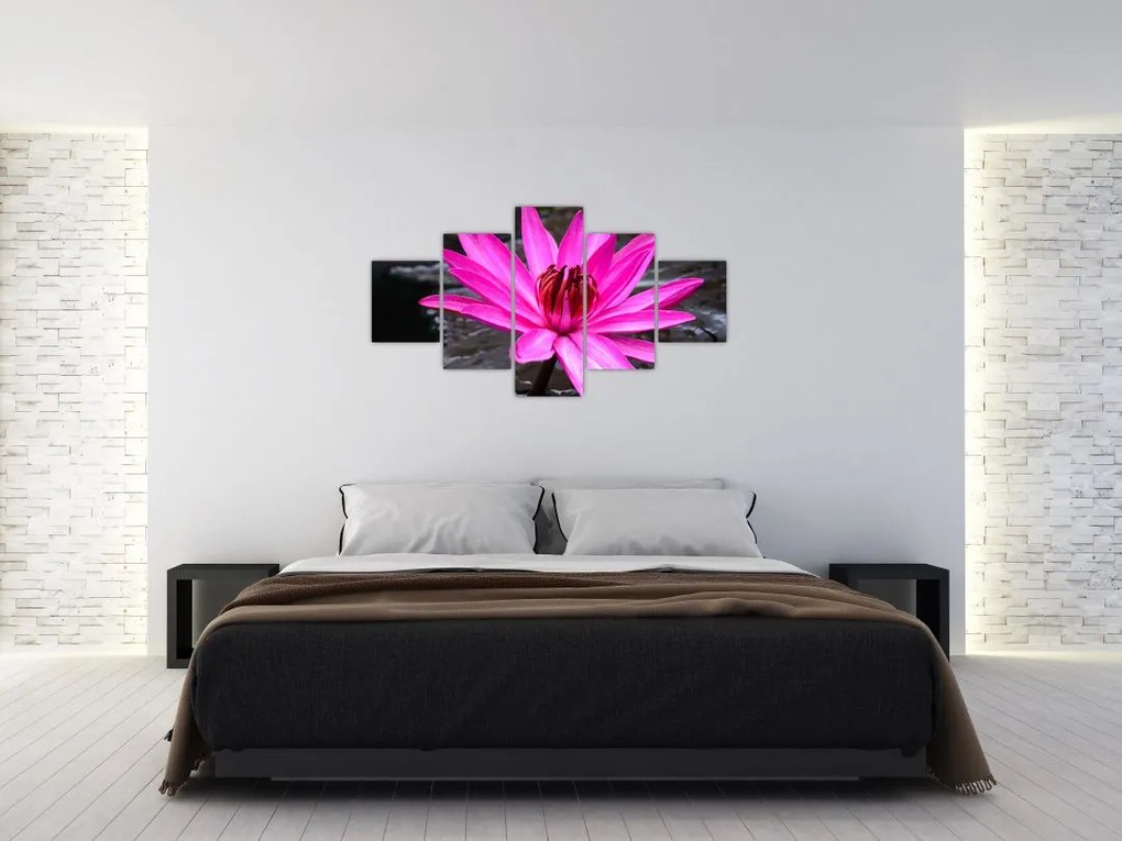 Obraz - różowy kwiat (125x70 cm)