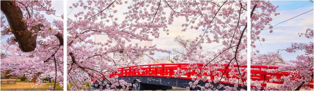 Obraz - Hirosaki, Japonia (170x50 cm)