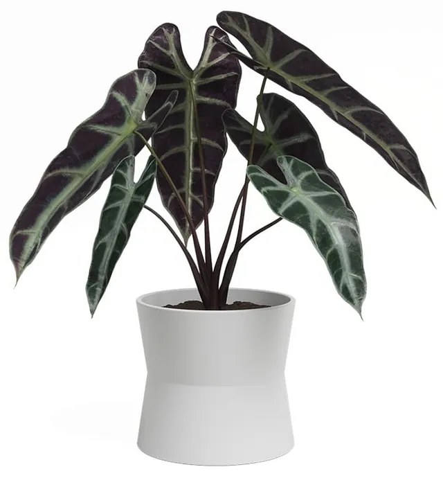 Ceramiczna doniczka ø 14 cm Diana – Artevasi