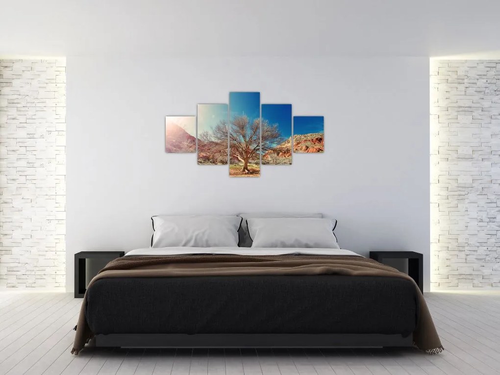 Obraz drzewa na pustyni (125x70 cm)
