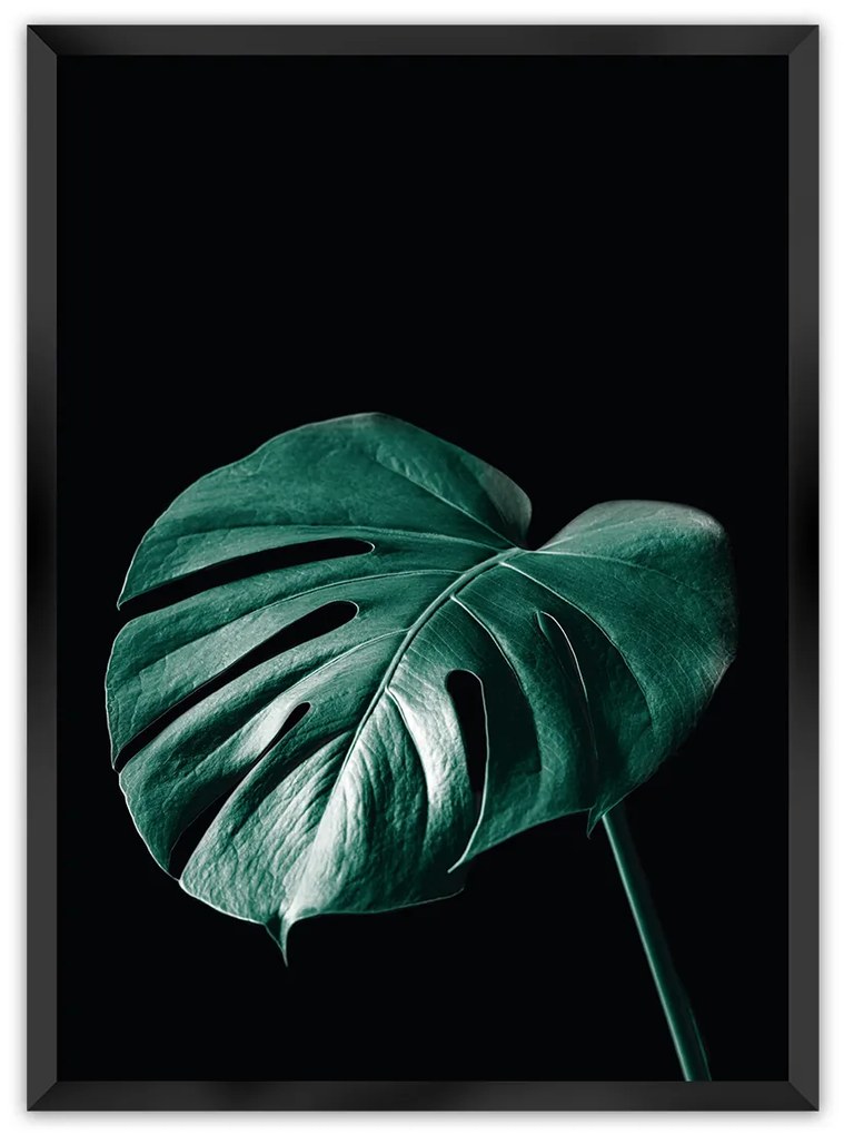 Plakat Dark Monstera