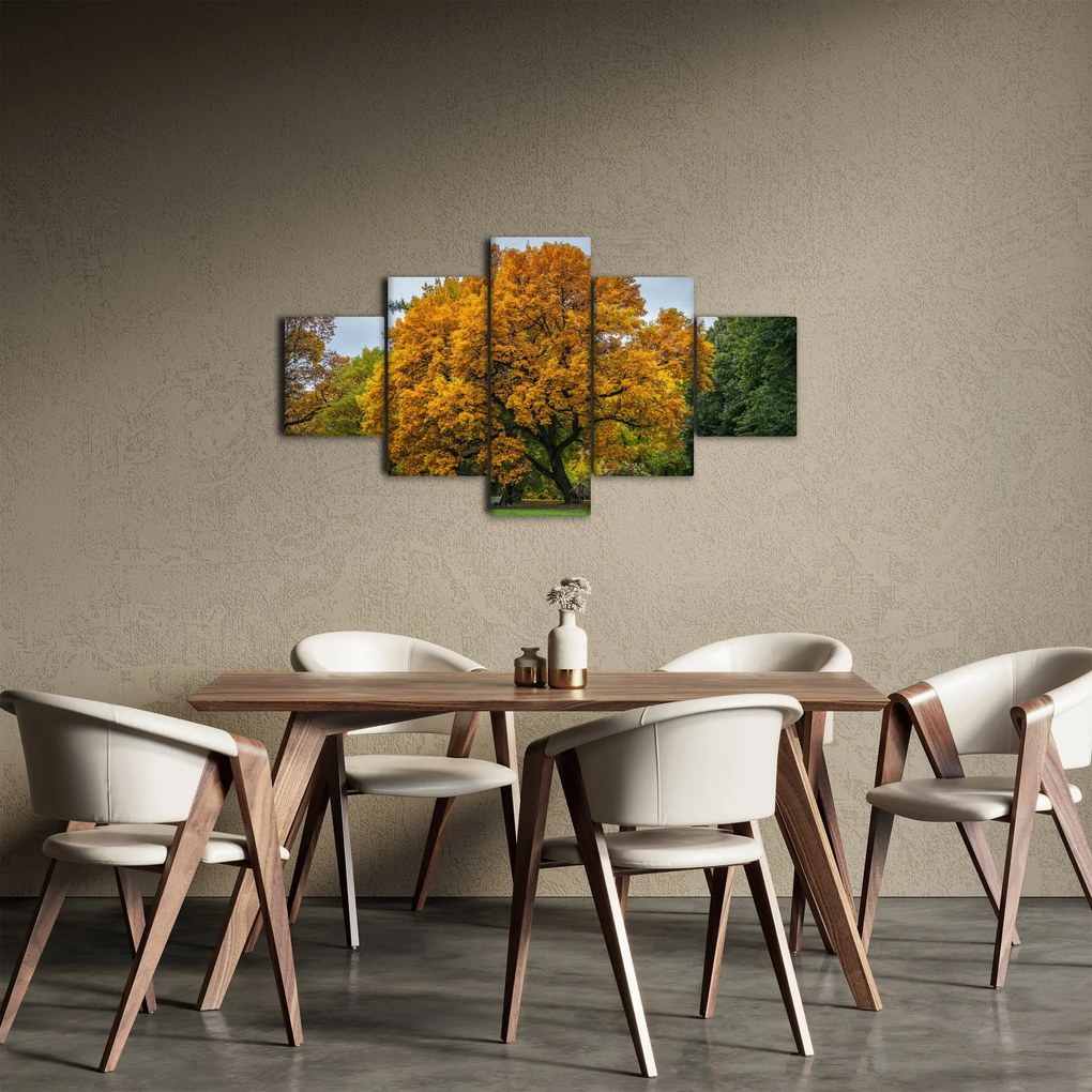 Obraz drzewa (125x70 cm)