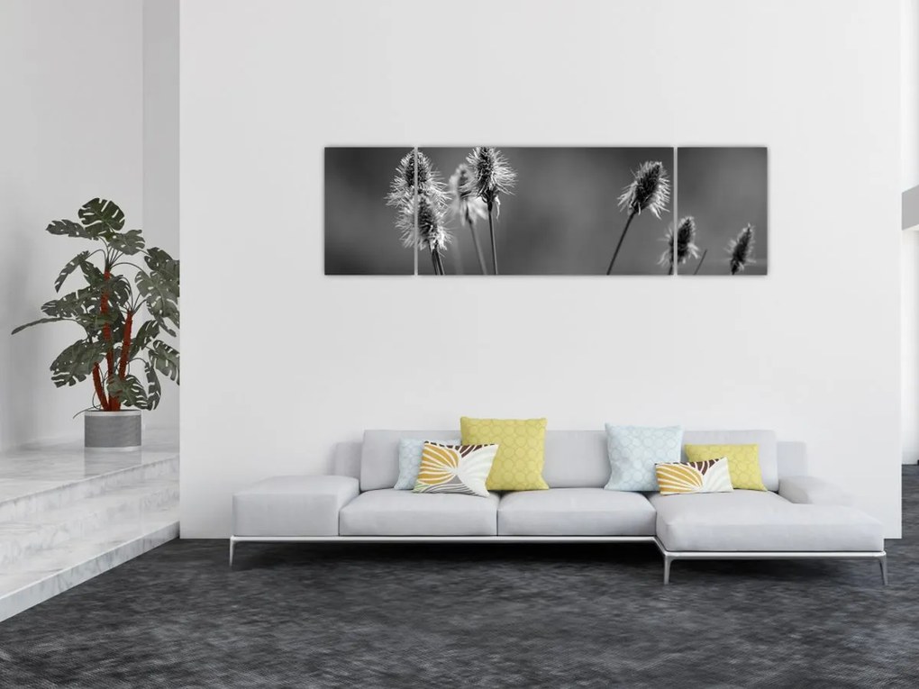 Obraz - Beżowa miękka trawa N⁰2 (170x50 cm)