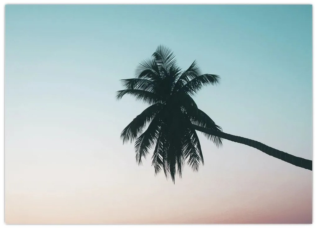 Obraz - Palma na Bali (70x50 cm)